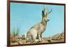 Jackalope-null-Framed Art Print