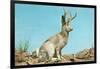 Jackalope-null-Framed Art Print