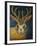 Jackalope-Leah Saulnier-Framed Giclee Print