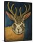 Jackalope-Leah Saulnier-Stretched Canvas