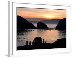 Jackass Penguins (African Penguins) (Speniscus Demersus), Boulder's Beach, Cape Town, South Africa-Thorsten Milse-Framed Photographic Print