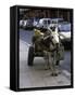 Jackass with Carriage on a Street in Morocco-Michael Brown-Framed Stretched Canvas