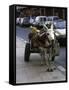 Jackass with Carriage on a Street in Morocco-Michael Brown-Framed Stretched Canvas