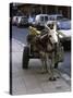Jackass with Carriage on a Street in Morocco-Michael Brown-Stretched Canvas