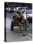 Jackass with Carriage on a Street in Morocco-Michael Brown-Stretched Canvas