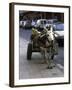 Jackass with Carriage on a Street in Morocco-Michael Brown-Framed Photographic Print