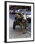 Jackass with Carriage on a Street in Morocco-Michael Brown-Framed Photographic Print