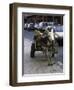 Jackass with Carriage on a Street in Morocco-Michael Brown-Framed Photographic Print