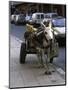 Jackass with Carriage on a Street in Morocco-Michael Brown-Mounted Photographic Print