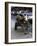 Jackass with Carriage on a Street in Morocco-Michael Brown-Framed Photographic Print