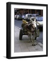 Jackass with Carriage on a Street in Morocco-Michael Brown-Framed Photographic Print