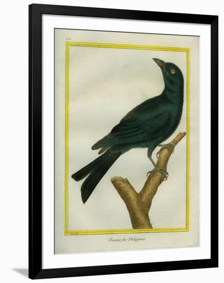 Jackdaw-Georges-Louis Buffon-Framed Giclee Print