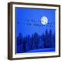 Jackdaws on Power Supply Line, Full Moon Evening, Winter Wood (M)-Ludwig Mallaun-Framed Photographic Print