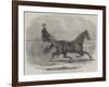 Jackey, the Winner of the Late Aintree Trotting Stakes at Liverpool-Thomas Harrington Wilson-Framed Giclee Print