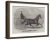 Jackey, the Winner of the Late Aintree Trotting Stakes at Liverpool-Thomas Harrington Wilson-Framed Giclee Print