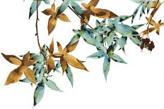 Green and Umber Leaves-Jackie Battenfield-Giclee Print