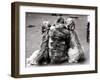 Jackie Faith and Her Afghan Hounds, March 1968-null-Framed Premium Photographic Print