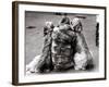 Jackie Faith and Her Afghan Hounds, March 1968-null-Framed Photographic Print