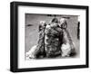 Jackie Faith and Her Afghan Hounds, March 1968-null-Framed Photographic Print