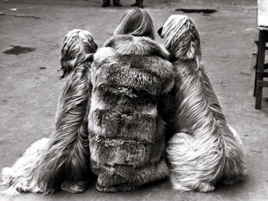 Photographic Print, , large