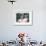 Jackie Kennedy I-British Pathe-Framed Giclee Print displayed on a wall