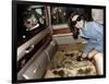 Jackie Kennedy Onassis Leaving London Airport, Aristotle Onassis Driving, 15th November 1968-null-Framed Photo