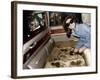 Jackie Kennedy Onassis-null-Framed Photo