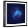 Black Frame
