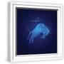 White Frame