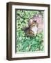 Jackie's Cat (Garden Design)-Suzanne Bailey-Framed Giclee Print