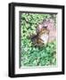 Jackie's Cat (Garden Design)-Suzanne Bailey-Framed Giclee Print