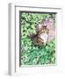 Jackie's Cat (Garden Design)-Suzanne Bailey-Framed Giclee Print