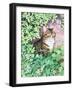 Jackie's Cat (Garden Design)-Suzanne Bailey-Framed Giclee Print