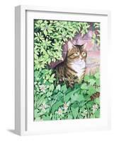 Jackie's Cat (Garden Design)-Suzanne Bailey-Framed Giclee Print