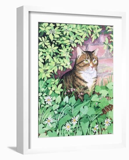 Jackie's Cat (Garden Design)-Suzanne Bailey-Framed Giclee Print