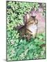 Jackie's Cat (Garden Design)-Suzanne Bailey-Mounted Giclee Print