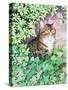 Jackie's Cat (Garden Design)-Suzanne Bailey-Stretched Canvas