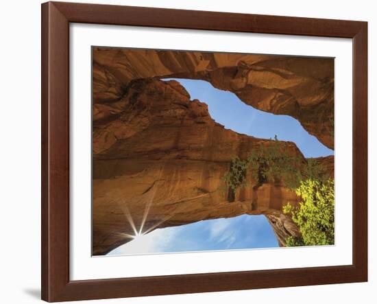 Jacks Arch-Don Paulson-Framed Giclee Print