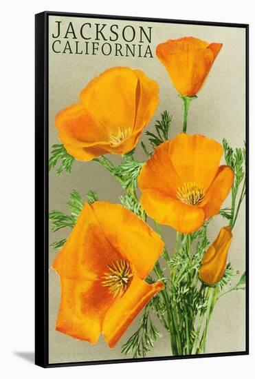 Jackson, California - The Californian Poppy Flowers-Lantern Press-Framed Stretched Canvas