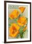 Jackson, California - The Californian Poppy Flowers-Lantern Press-Framed Art Print