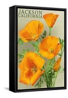 Jackson, California - The Californian Poppy Flowers-Lantern Press-Framed Stretched Canvas