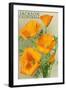 Jackson, California - The Californian Poppy Flowers-Lantern Press-Framed Art Print