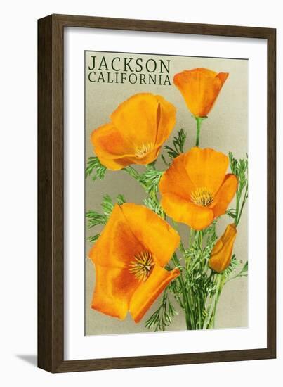 Jackson, California - The Californian Poppy Flowers-Lantern Press-Framed Art Print