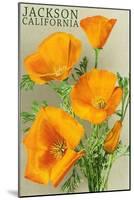 Jackson, California - The Californian Poppy Flowers-Lantern Press-Mounted Art Print