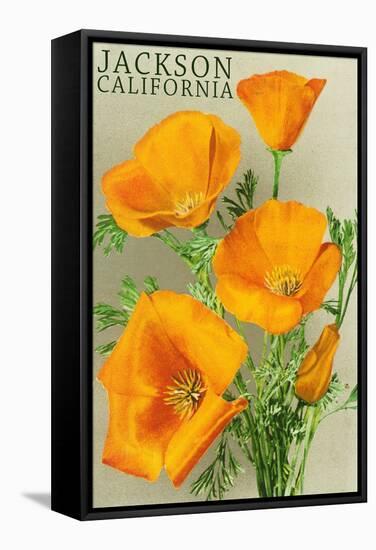 Jackson, California - The Californian Poppy Flowers-Lantern Press-Framed Stretched Canvas