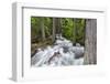 Jackson Creek in Glacier National Park, Montana, USA-Chuck Haney-Framed Photographic Print