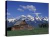 Jackson Hole Homestead and Grand Teton Range, Grand Teton National Park, Wyoming, USA-Jamie & Judy Wild-Stretched Canvas