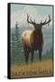 Jackson Hole, Wyoming - Elk-Lantern Press-Framed Stretched Canvas