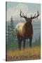 Jackson Hole, Wyoming - Elk-Lantern Press-Stretched Canvas