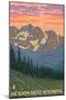 Jackson Hole, Wyoming, Spring Flowers-Lantern Press-Mounted Art Print
